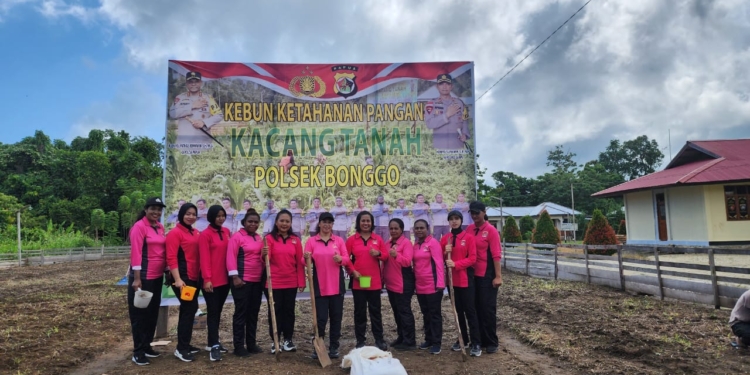 Kapolsek Bonggo Polda Papua Lakukan Penanaman Jagung dan Kacang Tanah Dukung Ketahanan Pangan