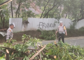 Polres Jayapura di Terjunkan  Bersihkan Pohon Tumbang Akibat Hujan Deras di Jayapura