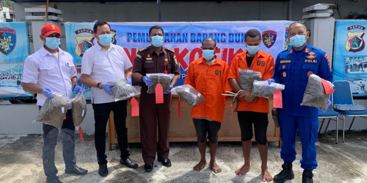 Polda Papua Musnahkan Barang Bukti Narkotika Jenis Ganja di Saksikan 4 Orang Tersangka