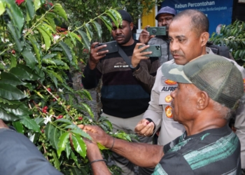 Kapolda Papua Tengah Bersama Forkopimda Puncak Jaya Kunjungi Pemilik Perkebunan Kopi Mulia