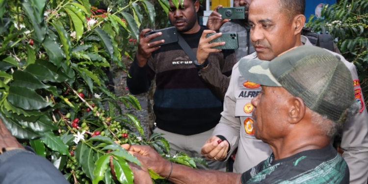 Kapolda Papua Tengah Bersama Forkopimda Puncak Jaya Kunjungi Pemilik Perkebunan Kopi Mulia