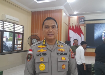 Polda Papua Buka Rekrutmen Bintara Polri Kompetensi Khusus Bidang Kependidikan, Cek Informasinya