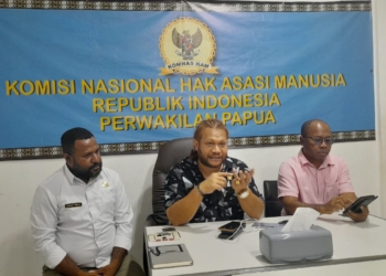 6 Provinsi di Papua, Bakal di Bentuk Kantor Komnas HAM Perwakilan, Berikut Penjelasan Anggota DPD RI