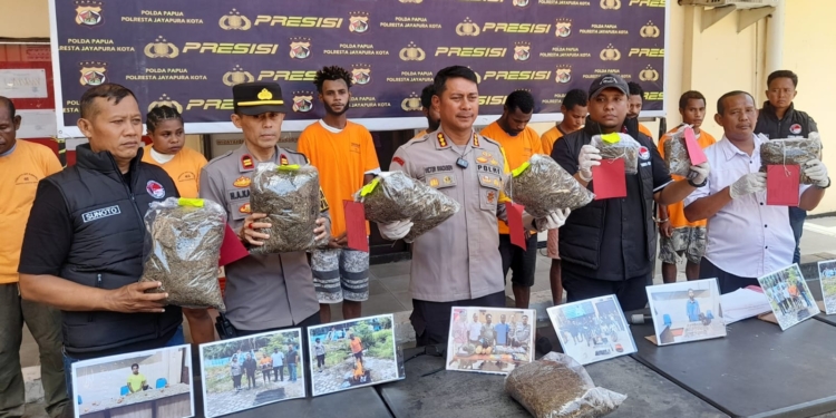 Kapolresta : Selama Februari 2025 11 Tersangka Jalani Penyidikan, Dan Barang Bukti 7 Kilogram Ganja