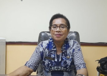 DLHK Kota : Kami Terus Melakukan Sosialisasi Terkait Pungutan Retribusi Sampah di Kota Jayapura