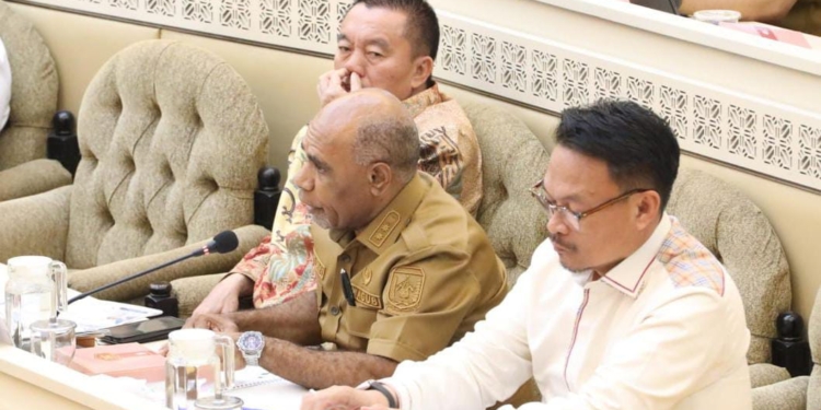 RDP Dengan Komisi II DPR RI, Wagub Deinas Geley Sampaikan 5 Fokus Pembangunan Papua Tengah