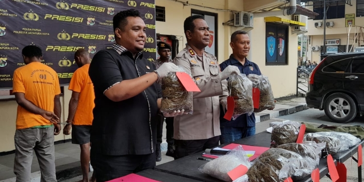 Bawa Ganja 7,5 Kilogram, 2 WNI dan 1 WNA Di Tangkap Satresnarkoba Polresta Jayapura