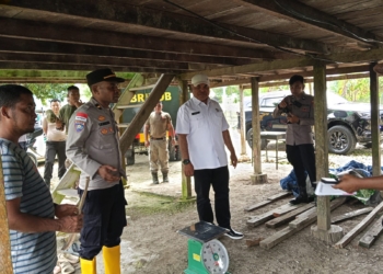 Kombespol Jermias Rontini, S.I.K Irwasda Polda Papua Tinjau Pembelian Jagung di Distrik Muara Tami, Ini Tujuannya