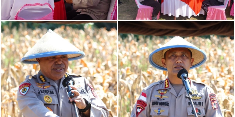 Irwasda Polda Papua, Kombes Pol Jermias Rontini, S.I.K, Hadiri Panen Raya Jagung Di Koya Koso Muara Tami