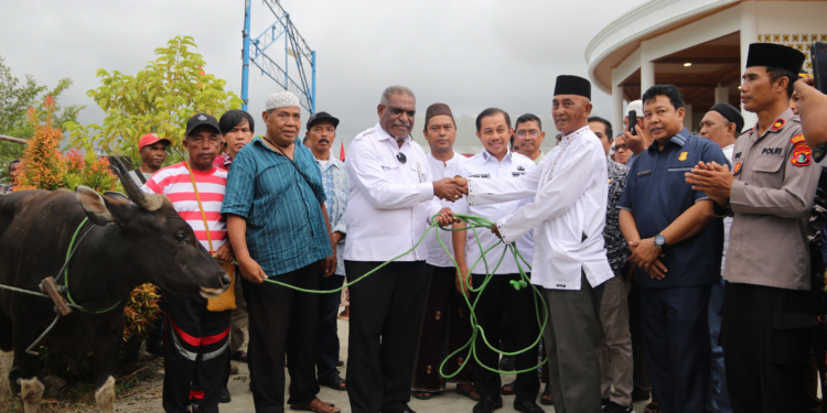 Pemkot Salurkan 31 Ekor Sapi Pada Hari Raya Idul Adha 1446 H/ Tahun 2025