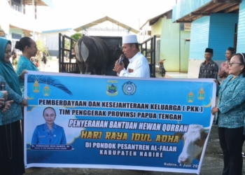 Jelang Idul Adha 1444 H, Ketua TP PKK Papua Tengah Serahkan Hewan Kurban ke Pesantren Al-Falah Nabire