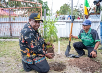 Pemprov Papua Pegunungan Tanam Pohon Peringati Hari Lingkungan Hidup Sedunia 2025