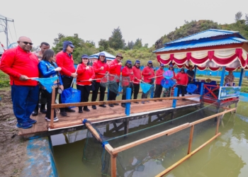 Kunker Ke Paniai, Gubernur Meki Nawipa Ikut Panen Raya Ikan Air Tawar