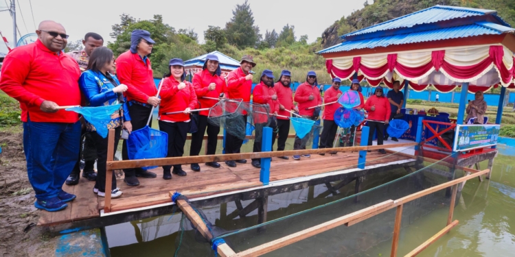 Kunker Ke Paniai, Gubernur Meki Nawipa Ikut Panen Raya Ikan Air Tawar