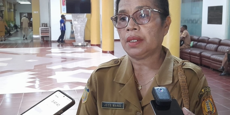 Ini Respon Kadis Lingkungan Hidup Kota, Terkait Sampah Berserakan di Lokasi Car Free Day Holtekamp Jayapura