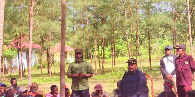 Tanggapan Kritis Intelektual Papua Pegunungan Terhadap Polemik SKD dan Peran Ormas Relawan