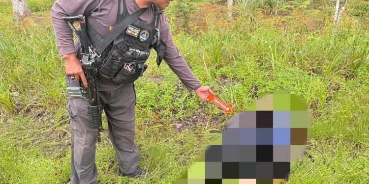 Seorang Pegawai Honorer Diduga Dibunuh KKB Pimpinan Elkius Kobak di Yahukimo, Ini Kata Satgas Damai Cartenz