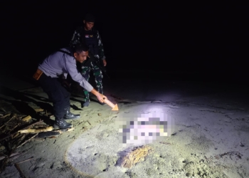Jasad Bayi Laki-Laki Ditemukan Warga di Pantai Skouw Sae Jayapura