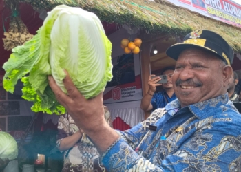 Sambut Hut RI ke-80, Wagub Ones Pahabol Buka Pameran Pembangunan di Wamena