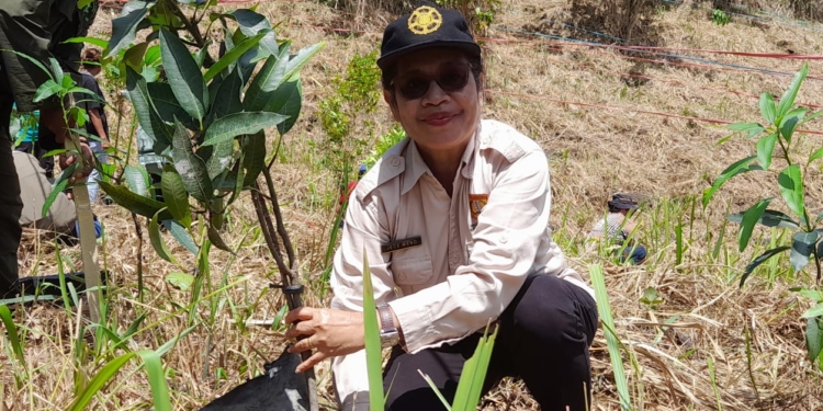 DLHK Kota Bersama WRI dan Mahasiswa UOG Papua Gelar Aksi Penanaman 500 Pohon