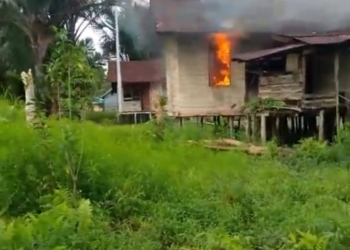 KKB Tembak Warga Sipil di Asmat, Rumah Dibakar