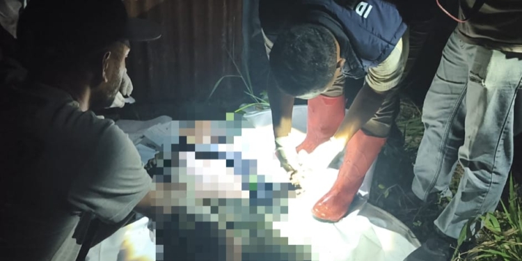 Polisi Respon Penemuan Mayat di Km 13 Holtekamp Jayapura, Indentitasnya Diketahui