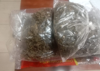 4 Penumpang KM Dorolonda Gagal Berangkat, Karna Bawa Narkotika, Lalu di Tangkap