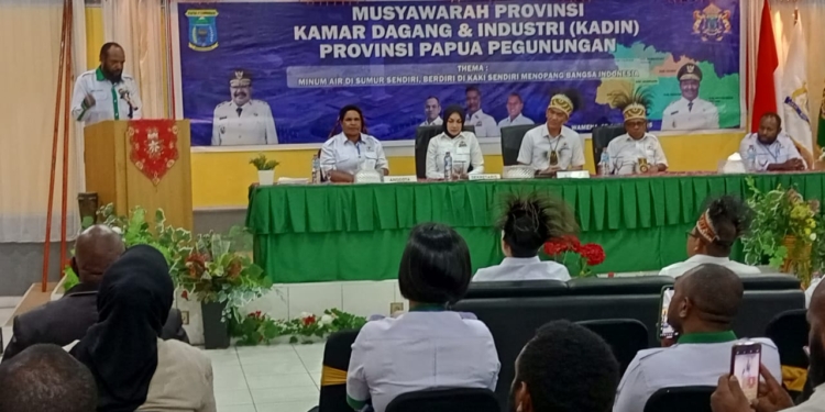 Fokus Program KADIN Papua pegunungan: Peningkatan SDM dan Sebagai Mitra Strategis Pemerintah