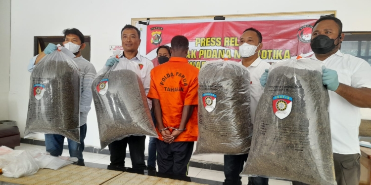 Polisi Tangkap WNA Asal PNG Beserta Ganja Seberat 21 Kg