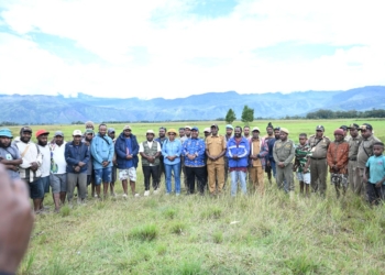 Wakil Gubernur Papua Pegunungan Tinjau Pembukaan 800 Hektar Lahan Sawah di Distrik Witawaya