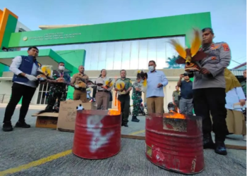 Museum atau Api? Kritik Keras Pemusnahan Aset Budaya dari Satwa yang Dilindungi