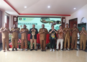 Pemprov Papua Pegunungan Gelar Lokakarya 4 Tahapan Penerapan SPM Tahun 2026