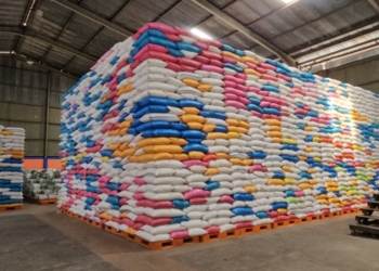 Bulog Papua Jamin Stok Beras Aman 4 Bulan, Siap Gelar Pasar Murah Jelang Ramadan dan Lebaran