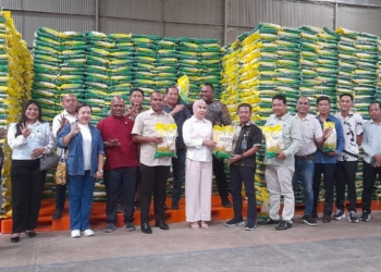 Stok Beras Bulog Papua Aman Jelang Lebaran, 4.300 Ton Siap Penuhi Kebutuhan Warga Jayapura