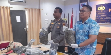 Baru Bebas, Residivis Narkoba Kembali Ditangkap Bawa 8,3 Kg Ganja dari PNG