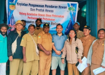 Pengawasan Diperketat, Dinas Pastikan Produk Hewan di Oksibil Aman Dikonsumsi