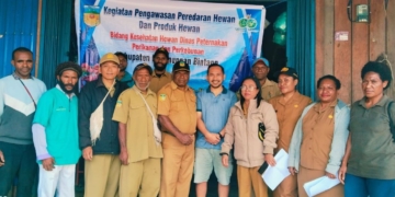 Pengawasan Diperketat, Dinas Pastikan Produk Hewan di Oksibil Aman Dikonsumsi