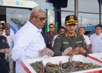 Foto : Humas Balai Karantina Papua Tengah- Badan Karantina Indonesia
Keterangan Foto : Kepala Karantina Papua Tengah, Anton Panji Mahendra Bersama Bupati Mimika Johanes Rettob Saat Meninjau Komoditas Lokal Ketiping Bakau Asli Timika Yang Siap Diberangkatkan Ke Pasaran di Malaysia.