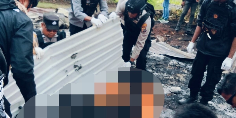 Tragis Perang Suku di Wamena, Jenazah Ibu dan Anak Ditemukan Hangus Terbakar