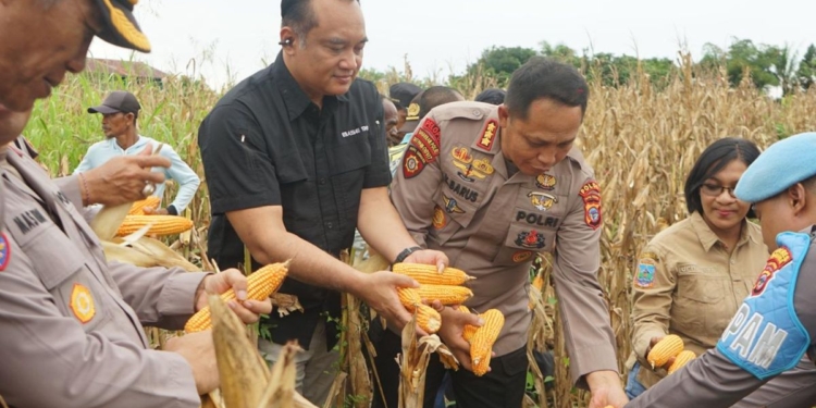 Kapolda Papua Tengah Instruksikan Jajaran Dukung Ketahanan Pangan Dan Pertanian Jagung