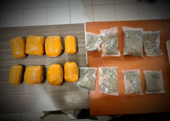 WNA Asal Papua Nugini Ditangkap di Jayapura, Polisi Sita 1,5 Kilogram Ganja