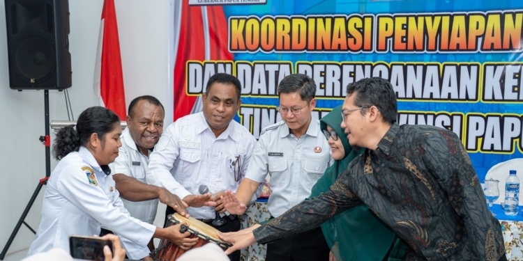 Papua Tengah Tingkatkan Kualitas Pelayanan Kesehatan melalui Perencanaan SDM Berbasis Data