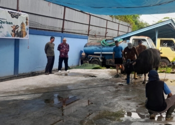Wujud Kepedulian di Hari Raya Iduladha, Tukang Ledeng Jayapura Sembelih 7 Ekor Sapi