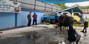 Wujud Kepedulian di Hari Raya Iduladha, Tukang Ledeng Jayapura Sembelih 7 Ekor Sapi