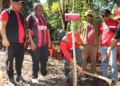 Tanam Sagu di Sentani, PDIP Papua Dorong Kedaulatan Pangan Berbasis Kearifan Lokal
