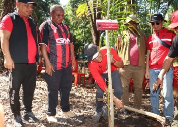 Keterangan Foto : Penanaman pohon sagu oleh Ketua DPD PDI Perjuangan Papua, Benhur Tomi Mano didampingi para pengurus (Menas/Nokenlive)