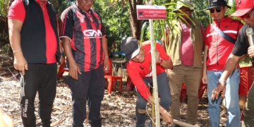 Tanam Sagu di Sentani, PDIP Papua Dorong Kedaulatan Pangan Berbasis Kearifan Lokal