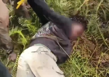 Satgas Ops Damai Cartenz Tangkap Anggota KKB di Yahukimo, Diduga Terlibat Penyerangan Aparat