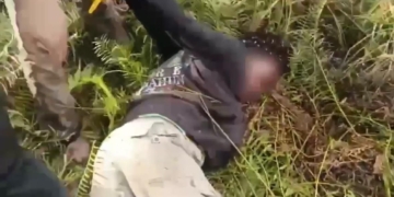 Satgas Ops Damai Cartenz Tangkap Anggota KKB di Yahukimo, Diduga Terlibat Penyerangan Aparat