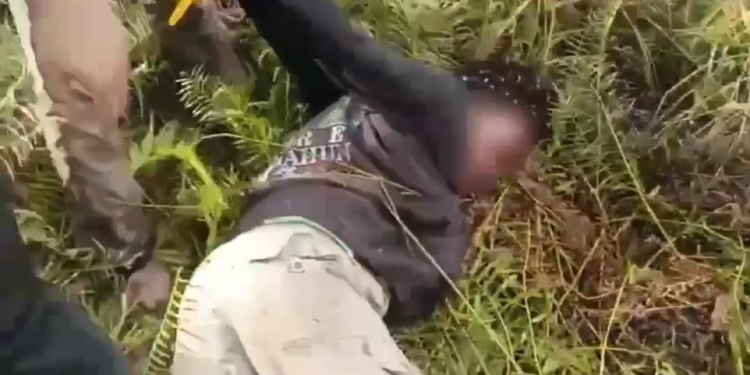 Satgas Ops Damai Cartenz Tangkap Anggota KKB di Yahukimo, Diduga Terlibat Penyerangan Aparat
